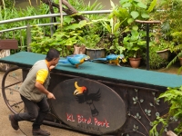 Papageienshow im Vogelpark