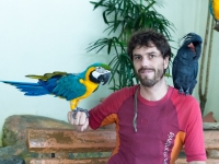 Felix mit Papagei