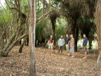 Gruppe Reisender im Dschungel