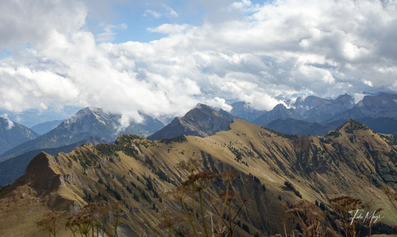Wolkenverhangener Blick ins Karwendel mit grünem Berggrat