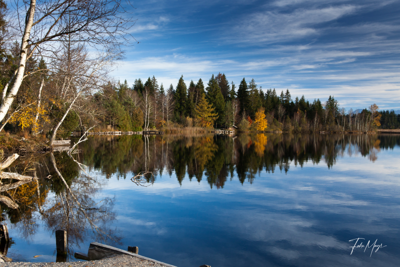 Wald am Kirchsee spiegelt sich im Wasser