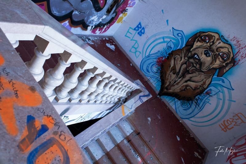 Der Wächter, Lost Place, Treppenhaus mit Hund Graffiti