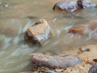 Wasser fließt um Steine