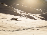Skitourenspur im Val Maighels in der Schweiz im Winter
