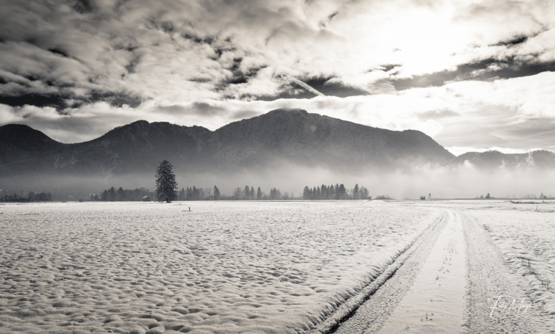 Feldweg im Winter vor Nebel und Bergpanorama