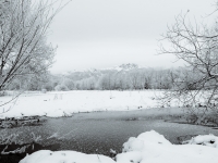 Schneebedeckte Moorwiese mit gefrorenem Bach