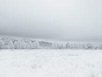 Schneebedeckte Moorwiese vor Bergpanorama im Loisachtal