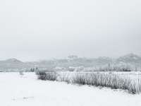 Windpässel, Benediktenwand und Rabenkopf hinter verschneitem Loisachtalmoor