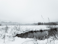 Winterlicher Blick Richtung Kreutalm mit Teich im Vordergrund