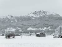 Schneebedeckte Benediktenwand mit Strauch und Stadel im Vordergrund