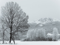 Jägerstand und Baum vor Benediktenwand im Winter