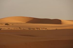 Sanddüne in Mauretanien