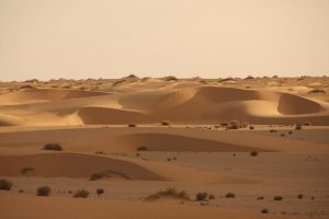 Sanddünen in Mauretanien in der Wüste