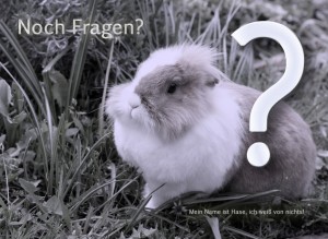 Kaninchen mit Fragezeichen