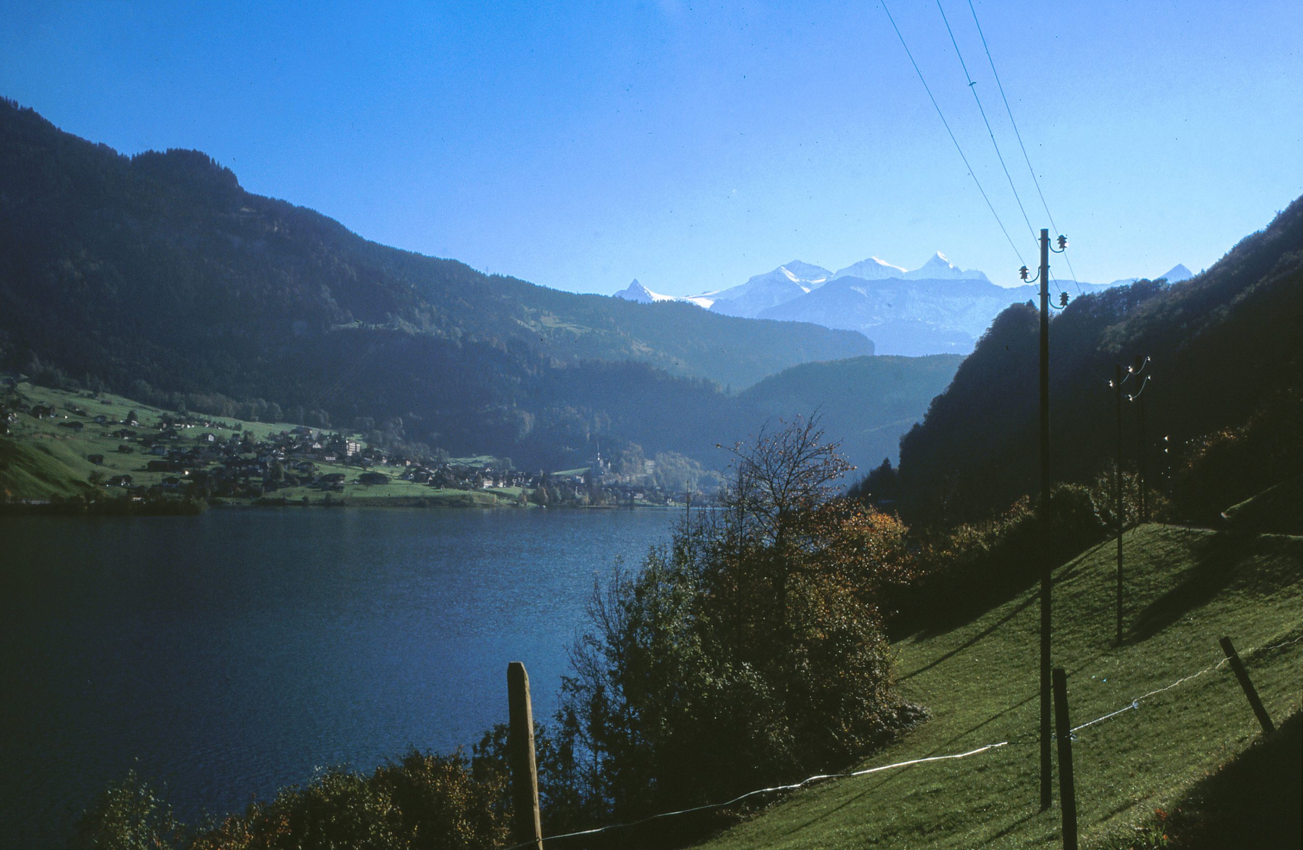 Blick auf den Thuner See in der Schweiz