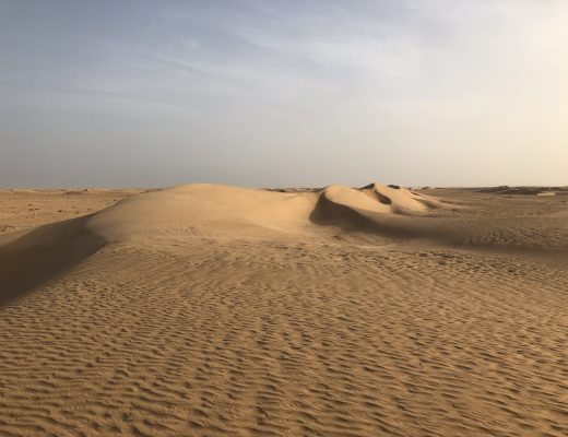 Sanddünen im Morgenlicht