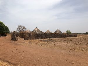 Afrikanische Strohhütten