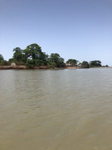 Insel vor Guinea Bissau